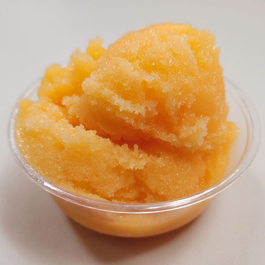 Best Ninja Creami Recipes You Must Try 7 Sorbet and Lite Ninja Creami Recipes